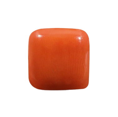 Natural Coral From NY Bold & Trendy