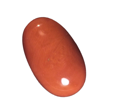Natural Coral From NY Bold & Trendy